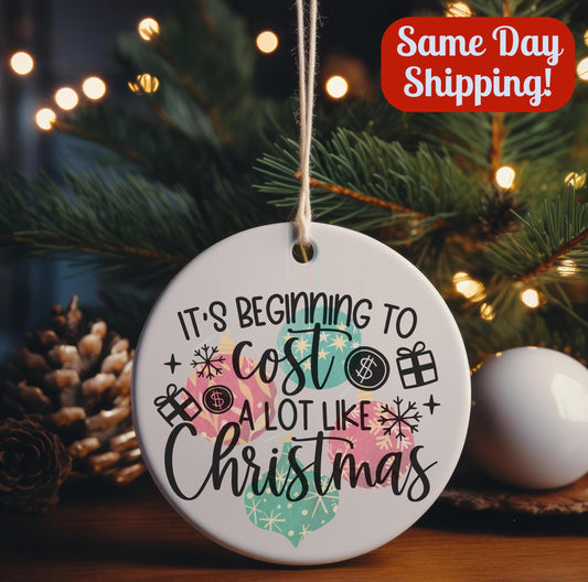It's Beginning to Cost A Lot Like Christmas Funny Ornament, White Elephant Gag Gift, Secret Santa Adult Humor